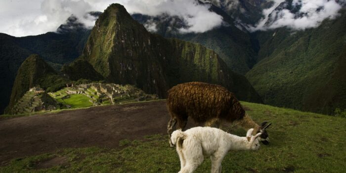 5 ragioni per visitare il Perù